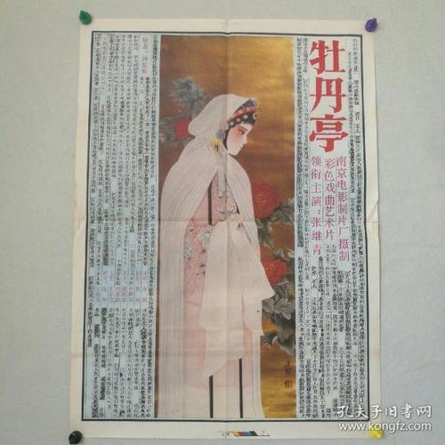 怀孕B超单多少钱